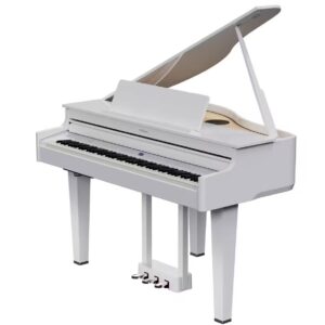 Roland GP-6 PW Blanc Poli